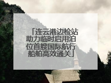 连云港边检站助力临时启用泊位首艘国际航行船舶高效通关