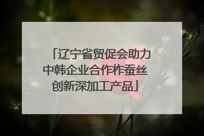 辽宁省贸促会助力中韩企业合作柞蚕丝创新深加工产品