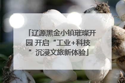 辽源黑金小镇璀璨开园 开启“工业+科技”沉浸文旅新体验