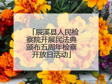 辰溪县人民检察院开展民法典颁布五周年检察开放日活动