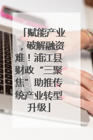 赋能产业，破解融资难！浦江县财政“三聚焦”助推传统产业转型升级