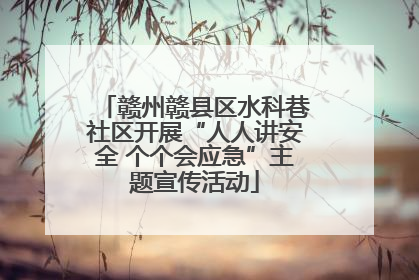 赣州赣县区水科巷社区开展“人人讲安全 个个会应急”主题宣传活动
