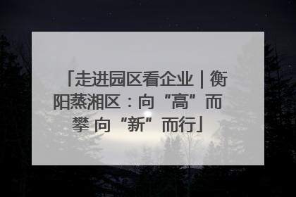 走进园区看企业｜衡阳蒸湘区：向“高”而攀 向“新”而行