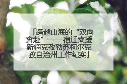 跨越山海的“双向奔赴”——宿迁支援新疆克孜勒苏柯尔克孜自治州工作纪实