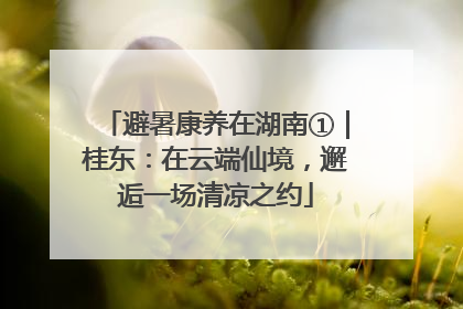 避暑康养在湖南①｜桂东：在云端仙境，邂逅一场清凉之约