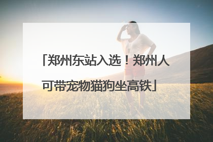 郑州东站入选！郑州人可带宠物猫狗坐高铁