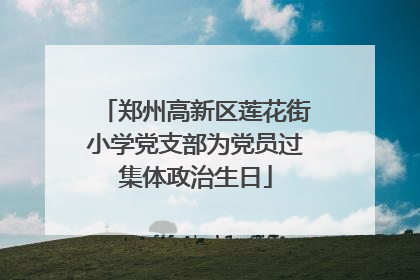 郑州高新区莲花街小学党支部为党员过集体政治生日