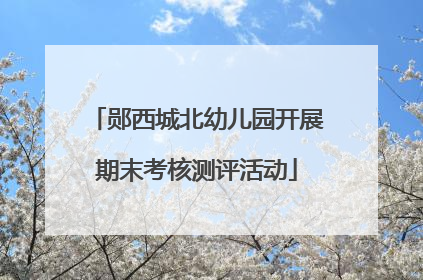 郧西城北幼儿园开展期末考核测评活动