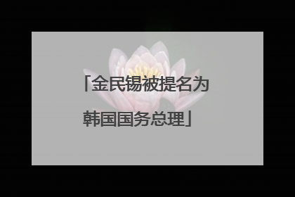 金民锡被提名为韩国国务总理