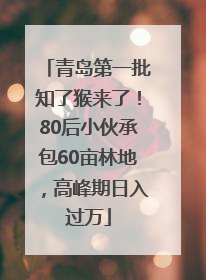 青岛第一批知了猴来了！80后小伙承包60亩林地，高峰期日入过万
