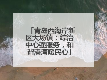 青岛西海岸新区大场镇：综治中心强服务，和谐港湾暖民心