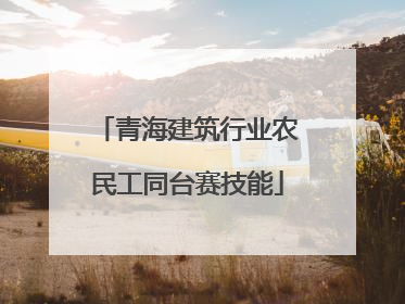 青海建筑行业农民工同台赛技能
