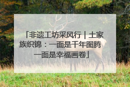 非遗工坊采风行｜土家族织锦：一面是千年图腾 一面是幸福画卷
