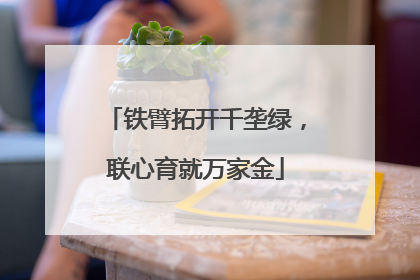 铁臂拓开千垄绿，联心育就万家金