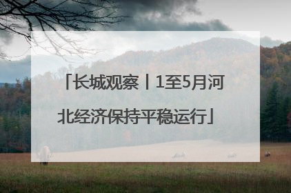 长城观察丨1至5月河北经济保持平稳运行