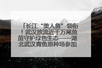 长江“美人鱼”领衔！武汉放流近千万尾鱼苗守护绿色生态——湖北武汉青鱼原种场参加2025年“全国放鱼日”增殖放流活动