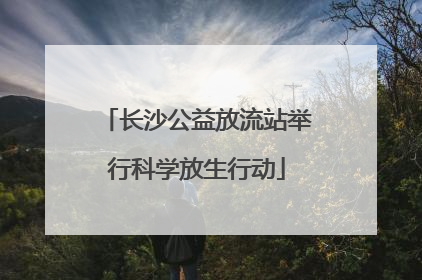长沙公益放流站举行科学放生行动