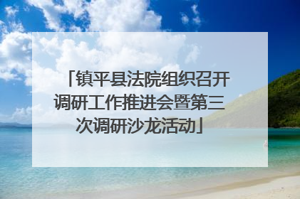 镇平县法院组织召开调研工作推进会暨第三次调研沙龙活动