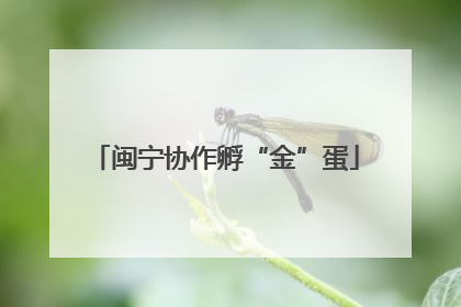 闽宁协作孵“金”蛋