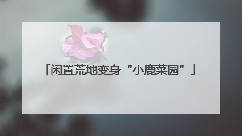 闲置荒地变身“小鹿菜园”