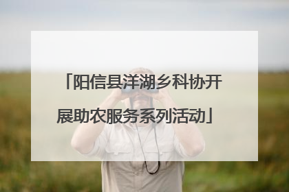 阳信县洋湖乡科协开展助农服务系列活动