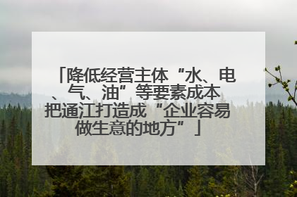 降低经营主体“水、电、气、油”等要素成本 把通江打造成“企业容易做生意的地方”