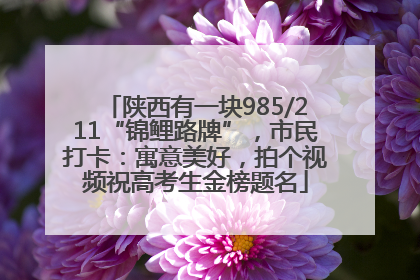 陕西有一块985/211“锦鲤路牌”，市民打卡：寓意美好，拍个视频祝高考生金榜题名