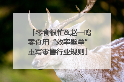 零食很忙&赵一鸣零食用“效率壁垒”重写零售行业规则
