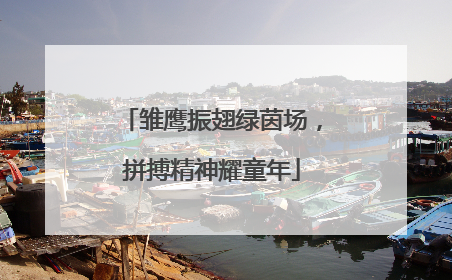 雏鹰振翅绿茵场，拼搏精神耀童年