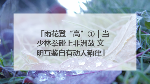 雨花登“高”③｜当少林拳碰上非洲鼓 文明互鉴自有动人韵律