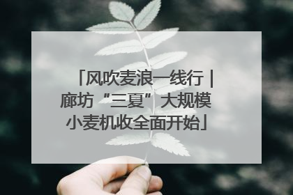风吹麦浪一线行｜廊坊“三夏”大规模小麦机收全面开始