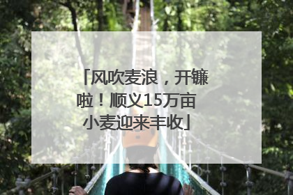风吹麦浪，开镰啦！顺义15万亩小麦迎来丰收
