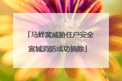 马蜂窝威胁住户安全 宣城消防成功摘除