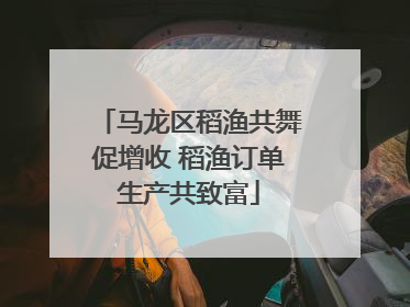 马龙区稻渔共舞促增收 稻渔订单生产共致富