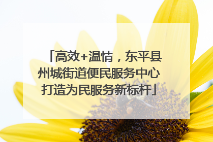 高效+温情，东平县州城街道便民服务中心打造为民服务新标杆