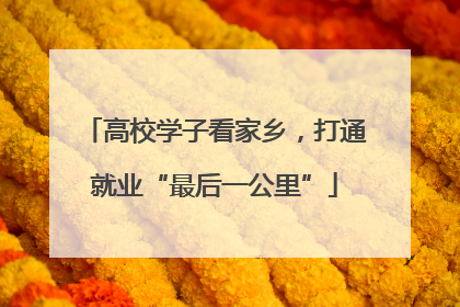 高校学子看家乡，打通就业“最后一公里”