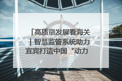 高质量发展看海关｜智慧监管系统助力宜宾打造中国“动力电池之都”