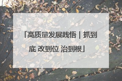 高质量发展践悟｜抓到底 改到位 治到根