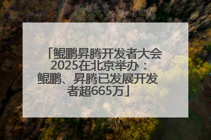 鲲鹏昇腾开发者大会2025在北京举办：鲲鹏、昇腾已发展开发者超665万