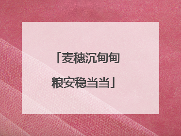 麦穗沉甸甸 粮安稳当当