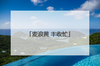 麦浪黄 丰收忙