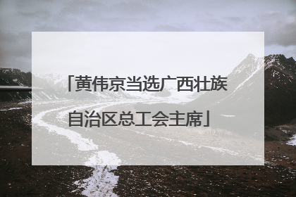 黄伟京当选广西壮族自治区总工会主席