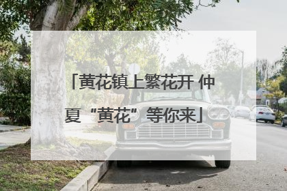 黄花镇上繁花开 仲夏“黄花”等你来