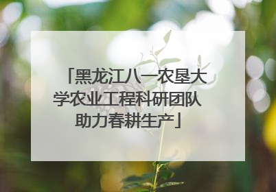 黑龙江八一农垦大学农业工程科研团队助力春耕生产