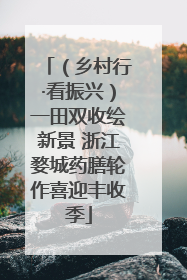 （乡村行·看振兴）一田双收绘新景 浙江婺城药膳轮作喜迎丰收季