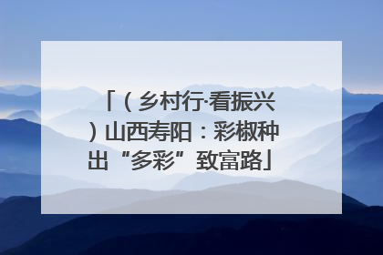 （乡村行·看振兴）山西寿阳：彩椒种出“多彩”致富路