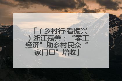 （乡村行·看振兴）浙江嘉善：“零工经济”助乡村民众“家门口”增收