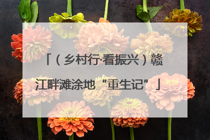 （乡村行·看振兴）赣江畔滩涂地“重生记”
