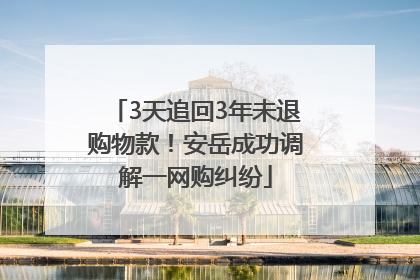 3天追回3年未退购物款！安岳成功调解一网购纠纷
