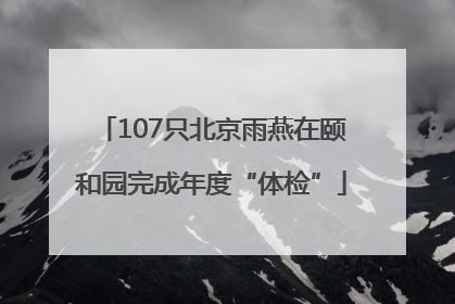 107只北京雨燕在颐和园完成年度“体检”